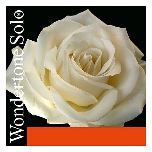 Cuerda Violín Pirastro WONDERTONE Solo G-SOL