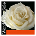 Cuerda Violín Pirastro WONDERTONE Solo G-SOL